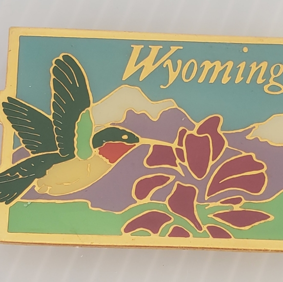Wyoming Hummingbird Refrigerator Fridge Park Magnet Vintage Metal Mountains - Picture 4 of 4